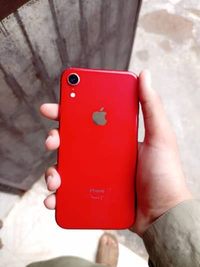 iPhone XR Red 64GB | Original Display | Face ID & True Tone ACTIVE!
