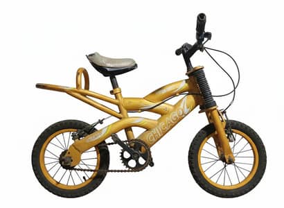 Chicago Kids Bicycle for Sale