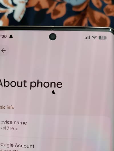 Pixel 7 Pro with Pin Dot