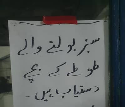 bolny wale bachy toty