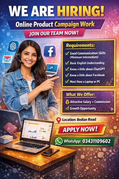 Online Product Campaign Work at Facebook