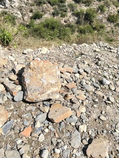 both are for sale now