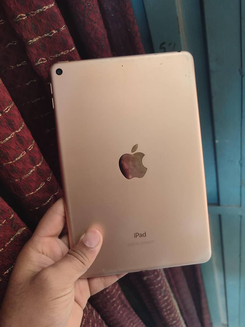 ipad mini 5 0