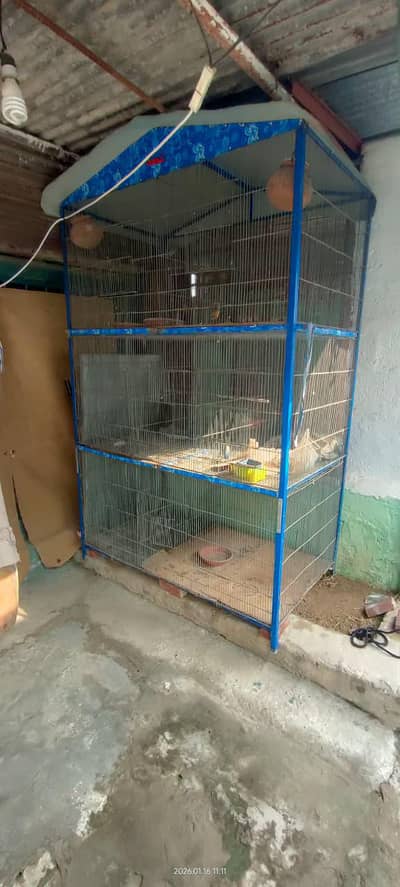 beautiful birds cage