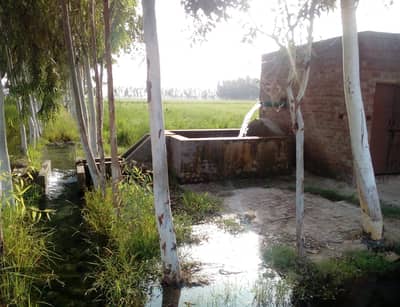 935 acre Agricultural Land available for Sale