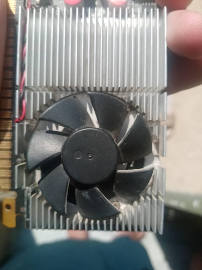 nvidia geforce 605 3