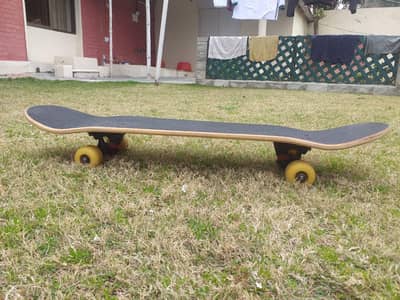 Full Size Skateboard