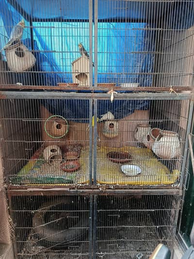 Birds cage for sale. (Cage only)