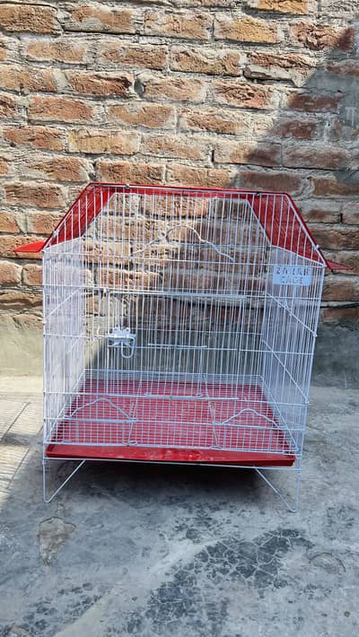New cage
