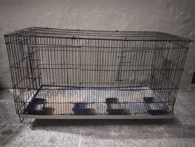 some breedar pair with cages for sale