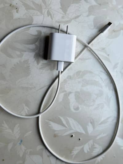 original iphone charger self perches by apple store 20 W