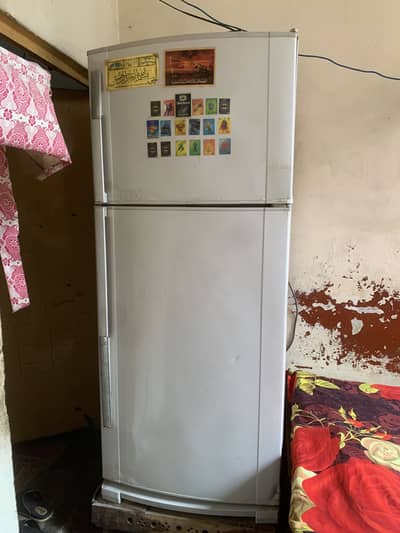 King Size Refrigerator Working Fine Best cooling