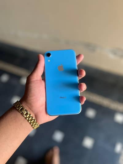 iphone xr non pTa