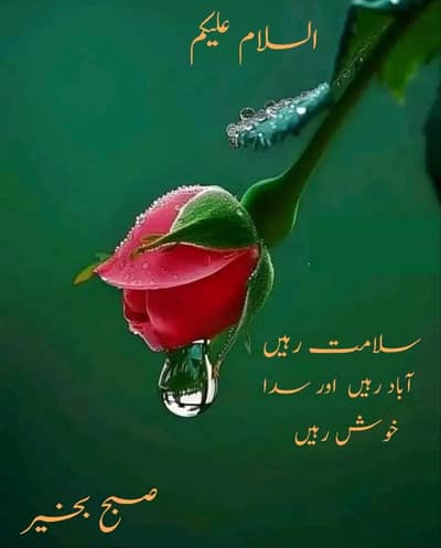 office boy ki Zarorat hai 03701794252