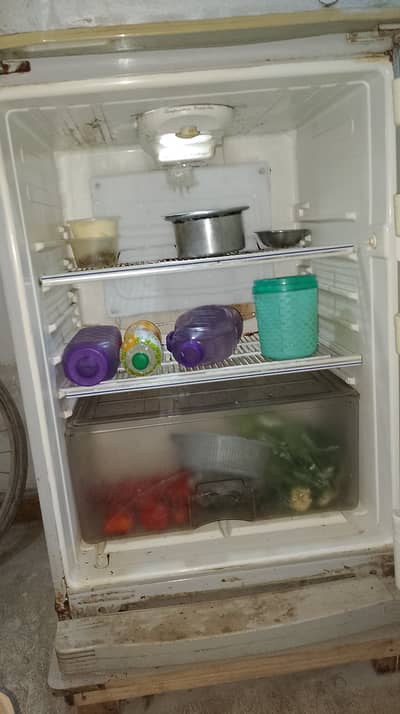 Dawalance Large size