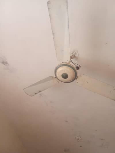 no any fault pure copper