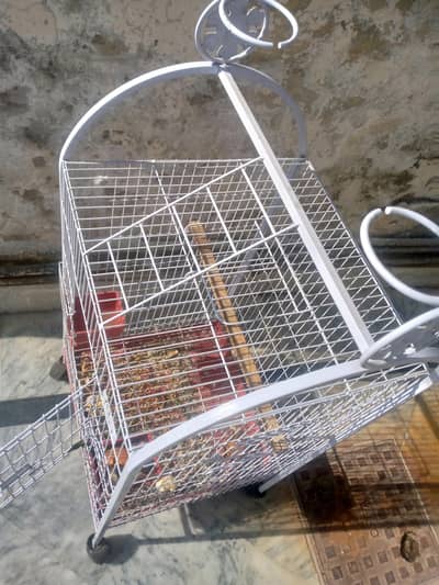 stylish pinjra Cage . 03164900503