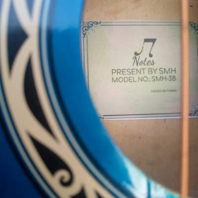 Acoustic guitar Notes SMH-38