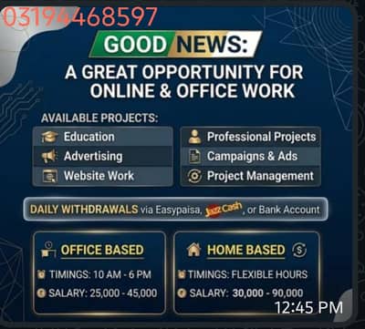 Online home based work