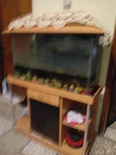 Aquarium with fishes