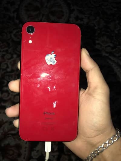 iPhone XR 256GB PTA APPROVED