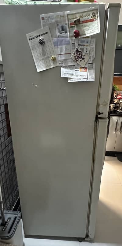 LG Fridge Double Door