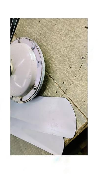 Ceiling Fan Pure Copper Moter