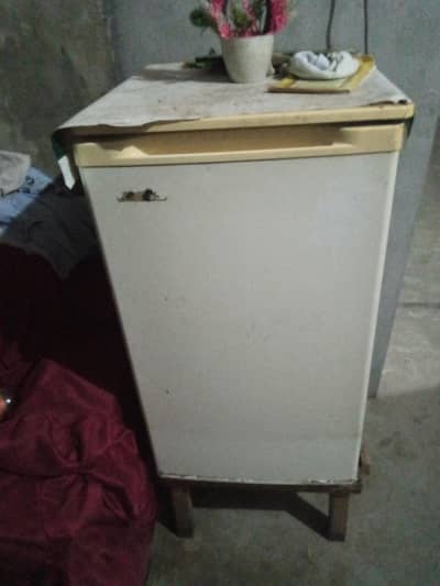 freez hey ashi cooing krti