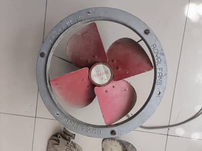 Pak Fans, Yusuf Fans, Royal Fans