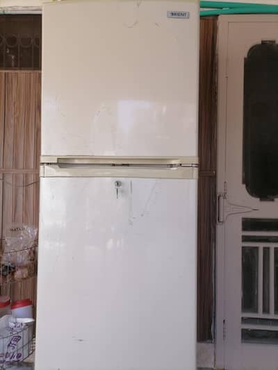 Medium Size Refrigerator and Freezer