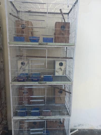 Birds Cages
