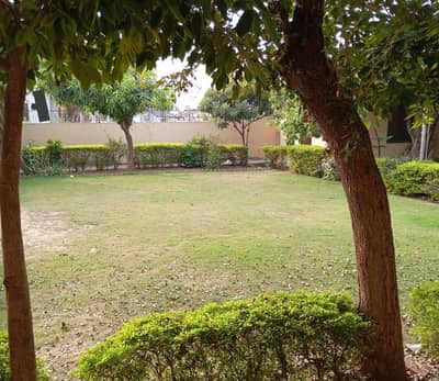1 Kanal Heighted Plot For Sale In Doctor Town