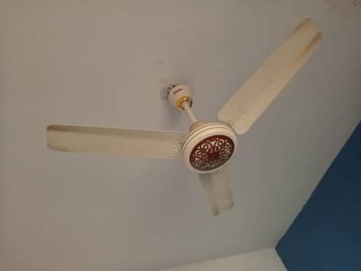 ceiling fan