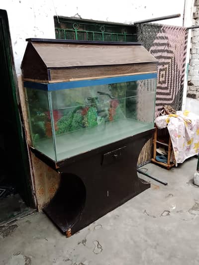 Large Aquarium For Sale urgent