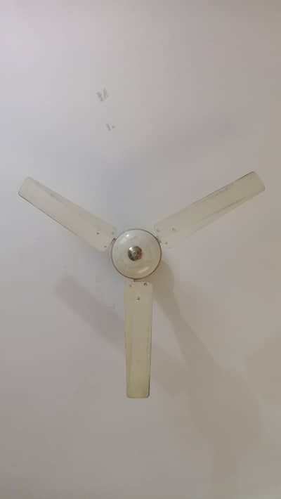 Ceiling Fan.