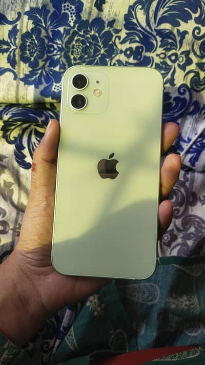 iphone 12, pta approved