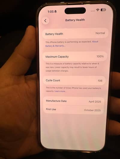 16 Pro Max 10/10 100% Battery