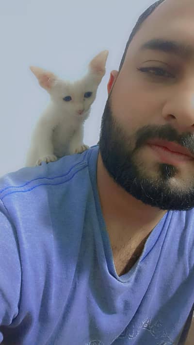 white cate 2 mnth eage