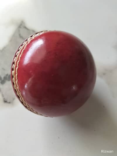 Cricket complete hard ball kit (New)