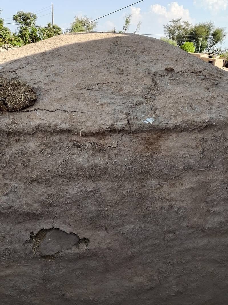 گندم کا بھوسہ برائے فروخت 1