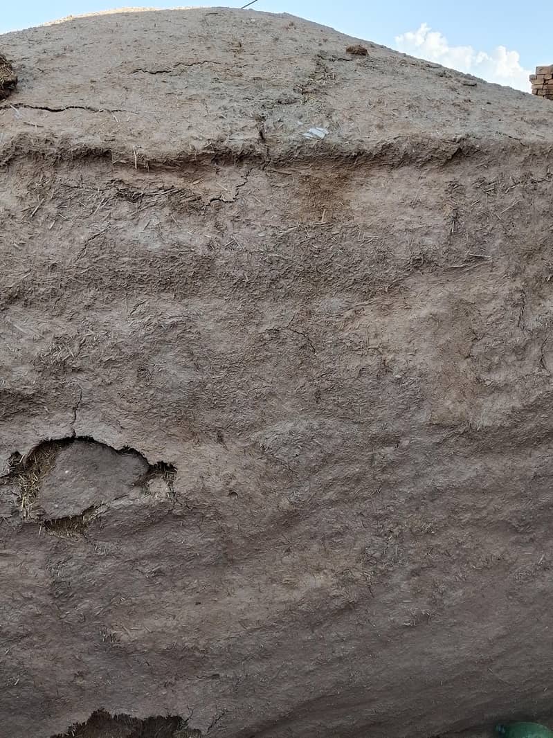 گندم کا بھوسہ برائے فروخت 2