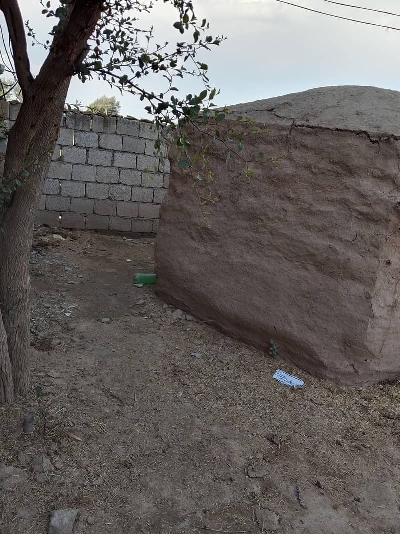 گندم کا بھوسہ برائے فروخت 3