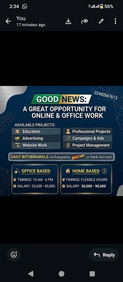 Online home based work