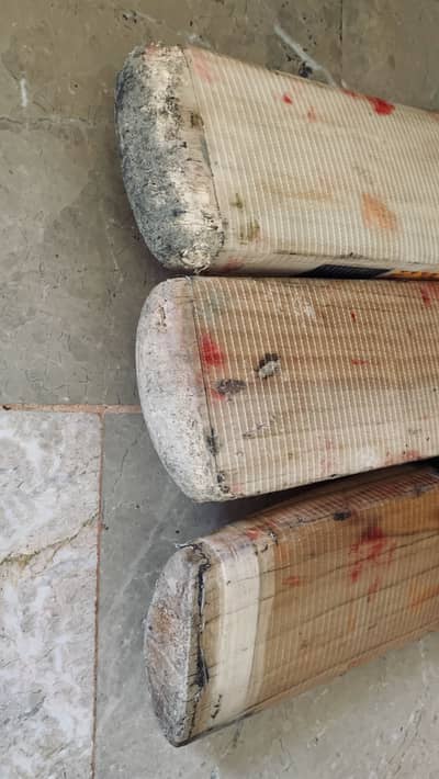 MRF | DSC | SG | Bata