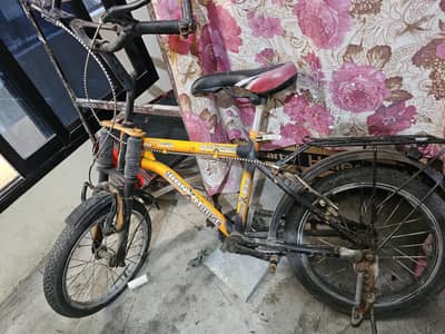 Chotay bachay ki cycle