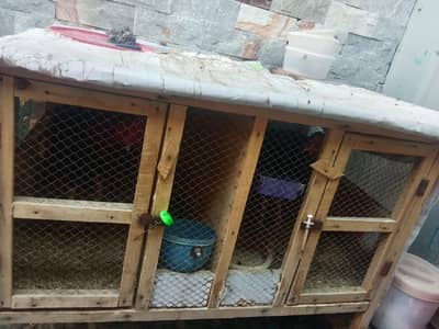 Cage For sale in good condition