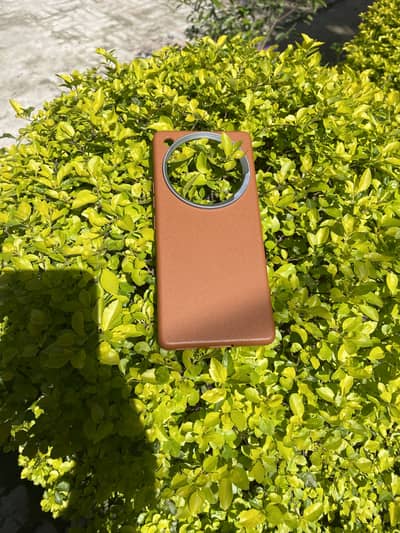 Infinix zero 40 back covers