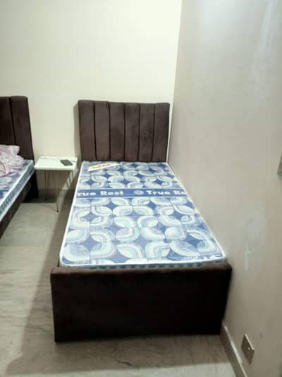 girls hostal near pifd university separate room & sharing available
