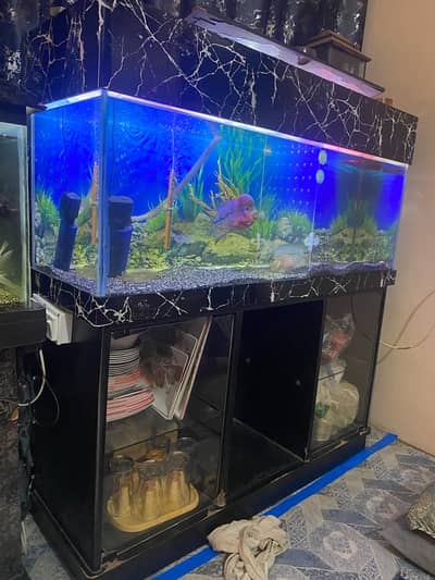 4feet aquarium with stand