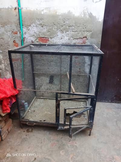 Raw parrot. . . cage for sale